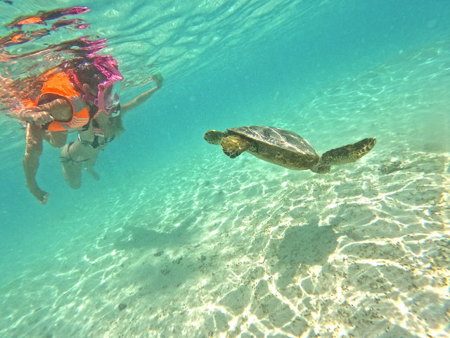 J񂱂ɂ́_POWER MARINEip[}jꍡAm