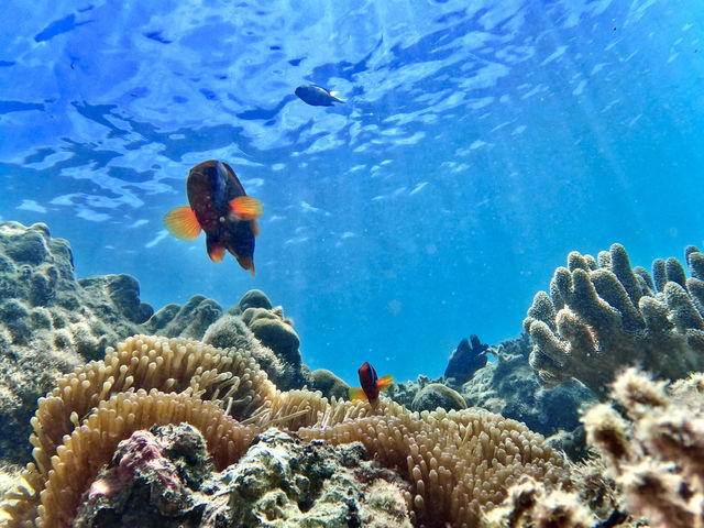 j̃t@~[o}_POWER MARINEip[}jꍡAm