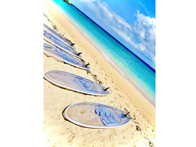 NATbv_POWER MARINEip[}jꍡAm