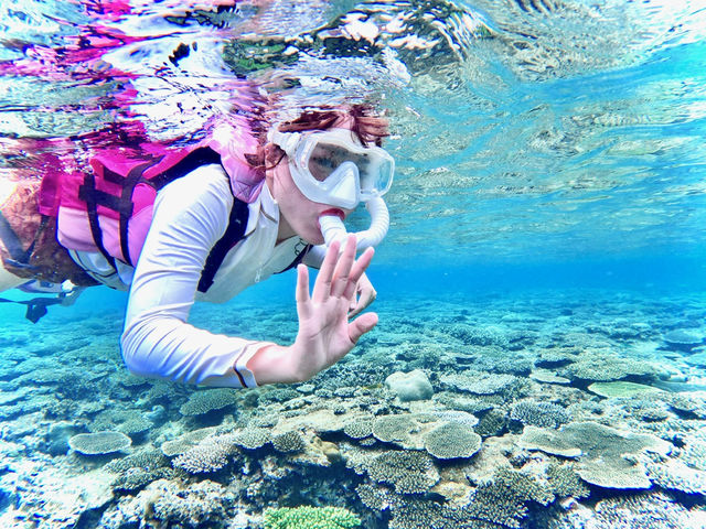 XYII_POWER MARINEip[}jꍡAm