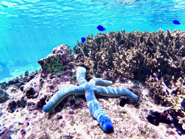 qgf_POWER MARINEip[}jꍡAm