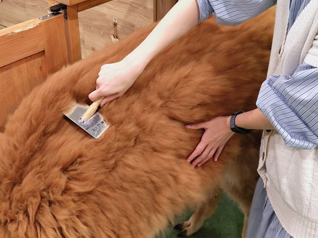 �u���b�V���O�̌����ł��܂��I_�A���p�J�ӂꂠ�������h