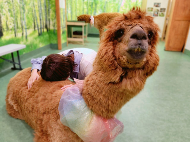 �u�l�R�z���v�Ȃ�ʁu�p�J�z���v���o����I�H
���͂����̃A���p�J�͏L���܂���I��x�k������n�}�邱�ƊԈႢ�Ȃ��H�H_�A���p�J�ӂꂠ�������h