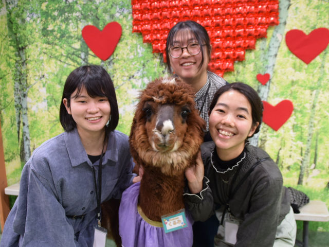 ���ǂ��͂��`�[�Y�I_�A���p�J�ӂꂠ�������h