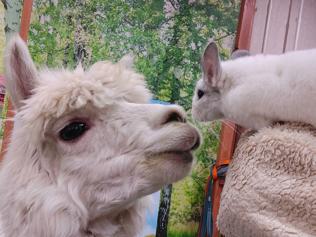 �����݂͂�Ȓ��ǂ���_�A���p�J�ӂꂠ�������h