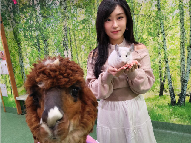 �A���p�J���`���`���Ƃ��͂��`�[�Y��_�A���p�J�ӂꂠ�������h