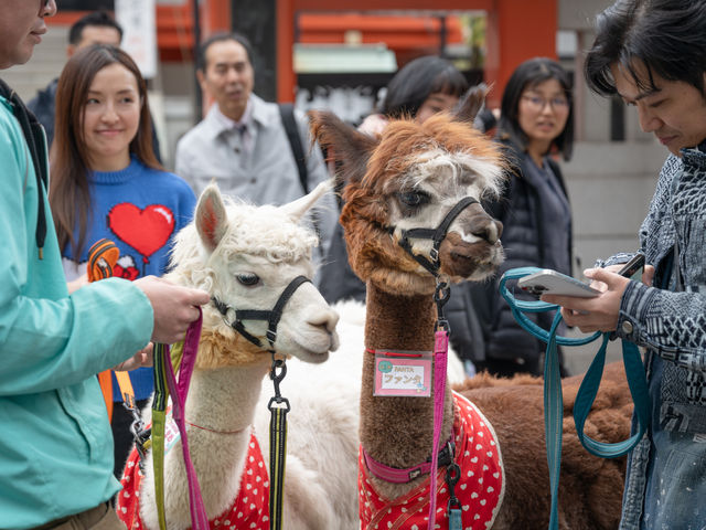 _ẙXUĂ܂B_ApJӂꂠh