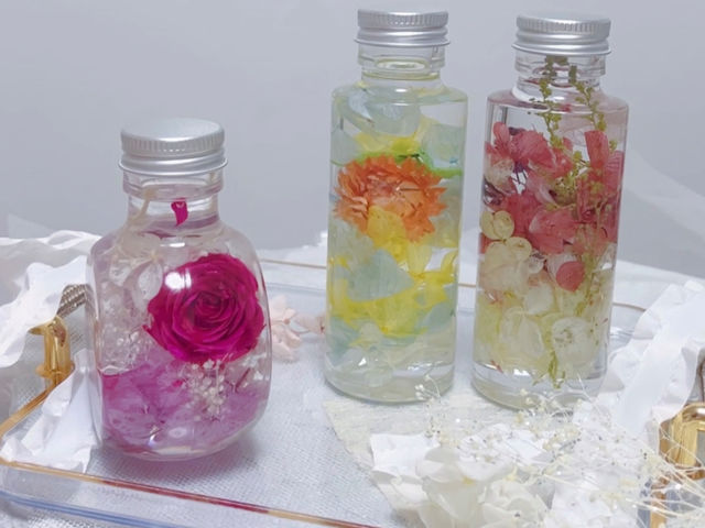 �n�[�o���E���̌�_�i��T�����h���[�Y