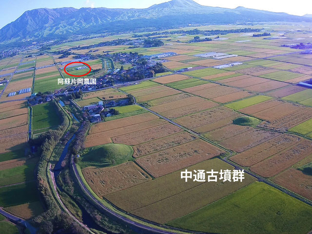 ���h�Љ��_���͒��ʌÕ��Q�̋߂��ɂ���܂�_���h�Љ��_��