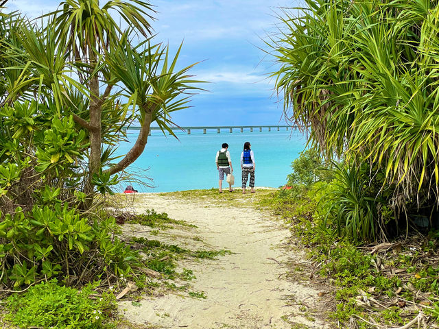 Activity Miyakojima DOSU