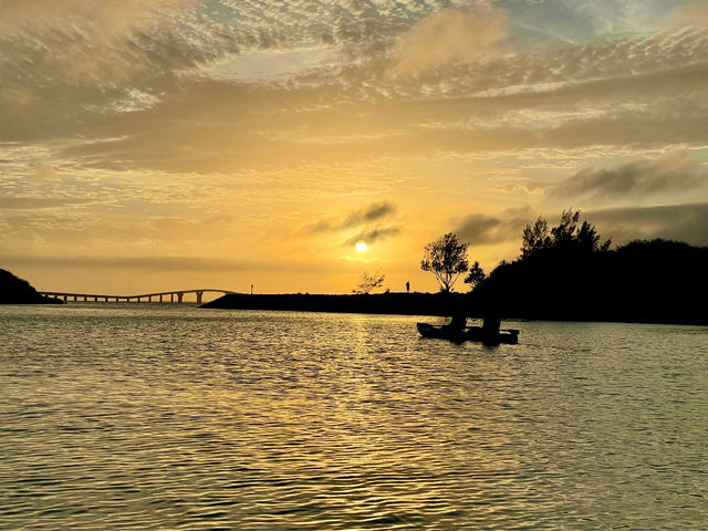 �T���Z�b�g�c�A�[_Activity Miyakojima DOSU