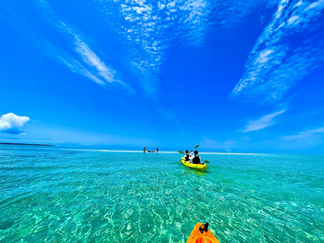 ��C���Ƀ|�c���ƂłĂ���u��ɂ̕l�v
���z�I�ł�_Activity Miyakojima DOSU