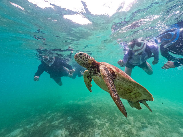 掿ʐ^E𖳗v[g!_THE BEACH CLUB