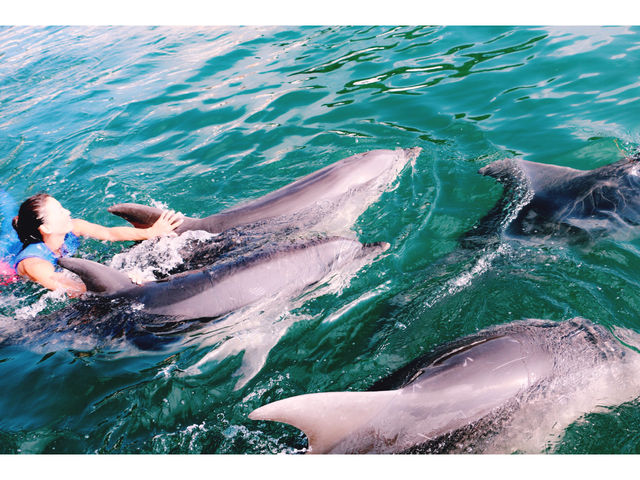 �h���t�B���x�F�C�X