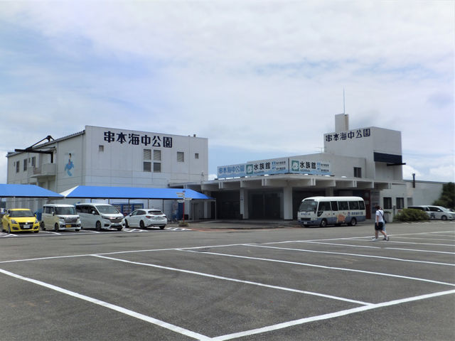 ���{�C�������@������