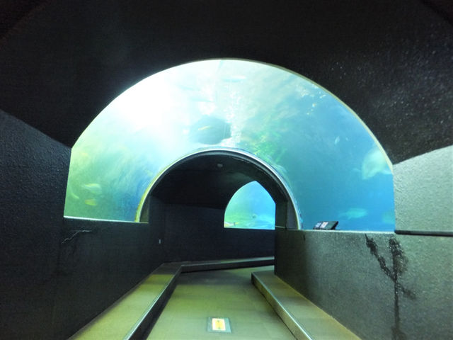 ���{�C�������@������