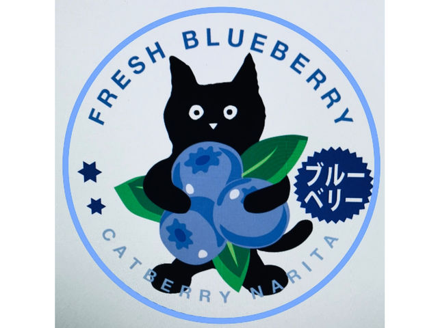 Cat Berry c̔u[x[AWF[g̃pbP[Wɓ\Ă郉xłBL̊Gɕ`Ɓ@Jc~ɃfUCĂ炢܂B_Cat Berryc