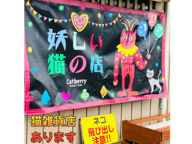 _ɔLGݓXwdL̓Xx܂Bi͓y101S̉cƂłAu[x[V[ÝAql̂\ɍ킹ăI[v܂B_Cat Berryc