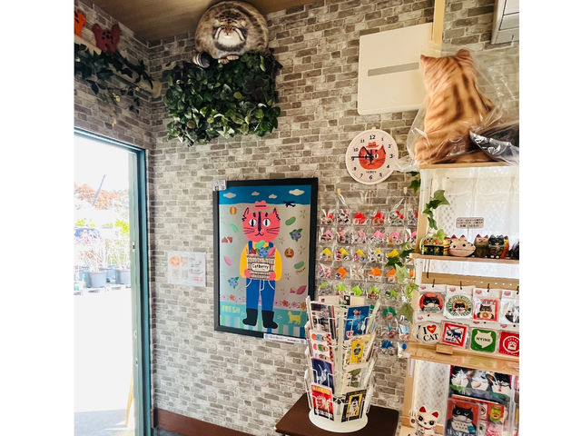 Ƒ傫ȊG̔Lo}Iォs}klRɂ݂Ă܂I_Cat Berryc