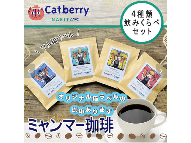 ~}[iXyVeBNXjhbvobOłBłȂ^bgLx́ALDD̕ւ̑蕨ɂœKłB_Cat Berryc