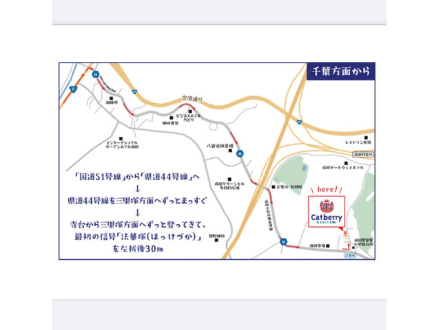 tʂ͍51wxO˂֌44Ђ܂オėĂBŏ̐Mw@ؒˁxiقÂj܂ĂłB_Cat Berryc