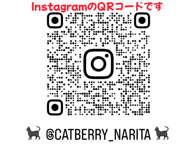 InstagramCat BerrycQRR[hłBrn獡̔_ł܂ł̋L^łBvtB[wdL̓Xx̃CX^ɂׂ܂B_Cat Berryc