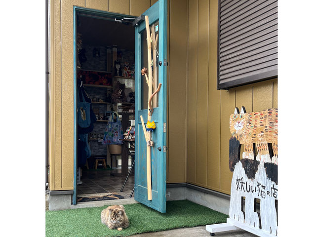 ԏ͂T~߂܂BԂ~肽炱̐hAJĂBîŔԔL͂ȂƎv܂j_Cat Berryc