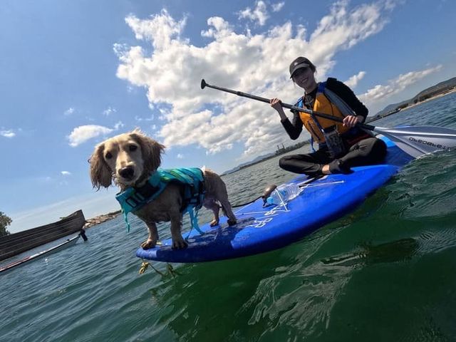 �W�H��SUP���J���b�N�����ē���