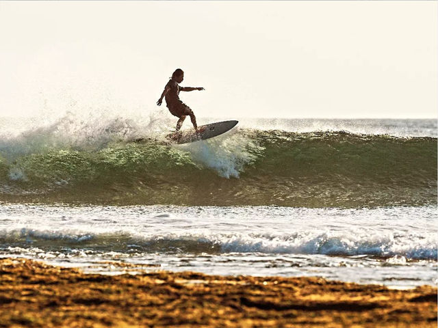 �A�C�����h�J���[