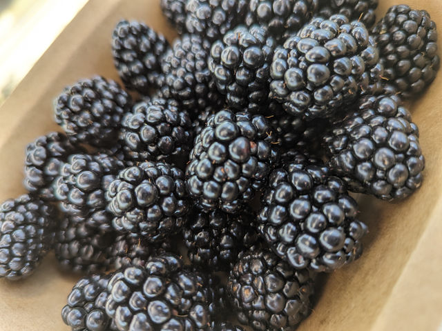 �u���[�x���[�t�@�[��KEYANOKI