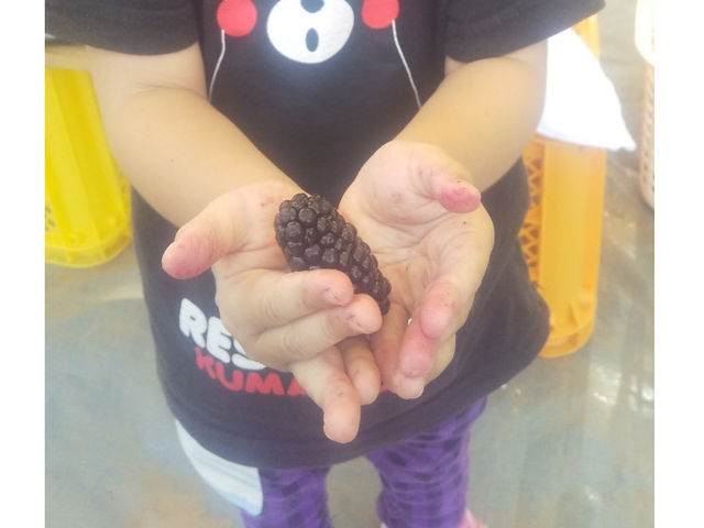 �u���[�x���[�t�@�[��KEYANOKI