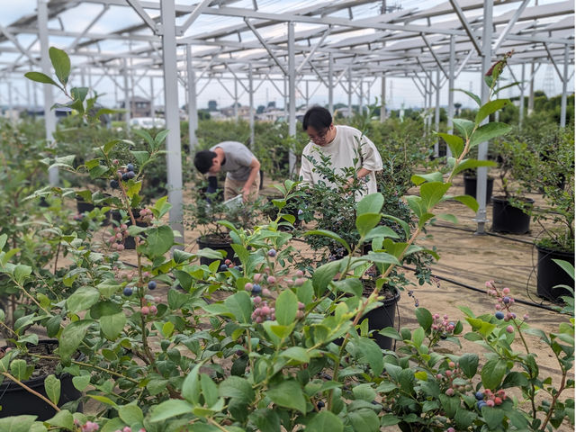 �u���[�x���[�t�@�[��KEYANOKI