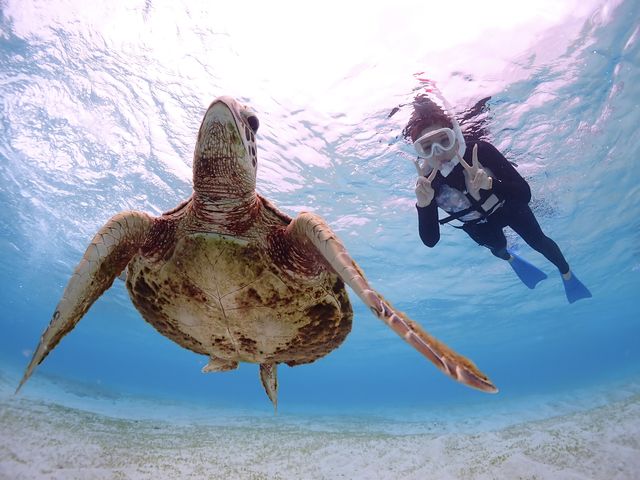 Ȃɂ߂ŉj܂IIII_CHAMP TOUR {Ó