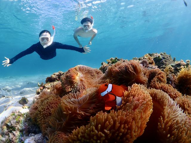 C̃AChIII_CHAMP TOUR {Ó