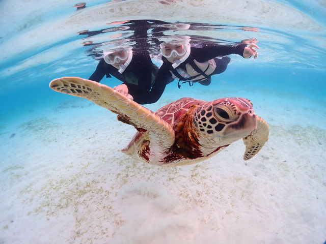 ق̃E~K100%pII_CHAMP TOUR {Ó