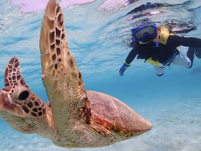 NĐĝ𓮂ċ{ÓyII_CHAMP TOUR {Ó