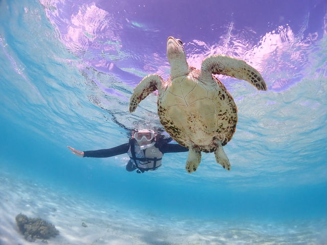 ܂ŋł邩̂悤ȁAAA_CHAMP TOUR {Ó