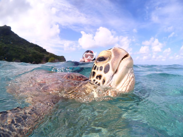 {ɉE~K(^ ^)_CHAMP TOUR {Ó