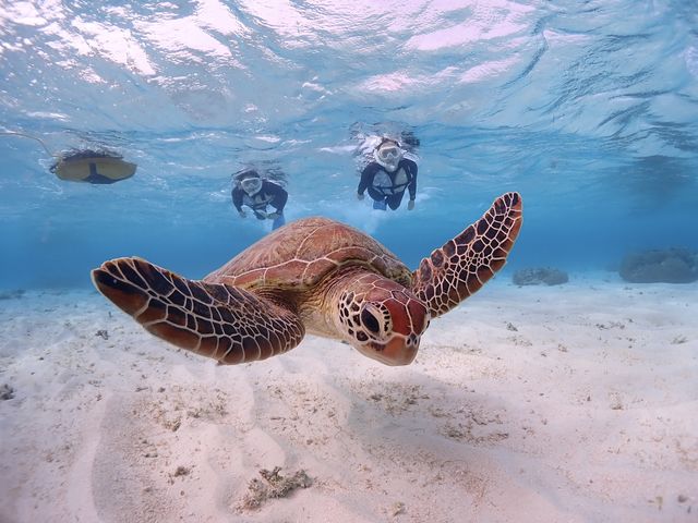 E~K_CHAMP TOUR {Ó