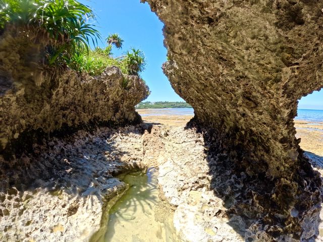 �w�q���̗V�я�x �}�����V���b�v��