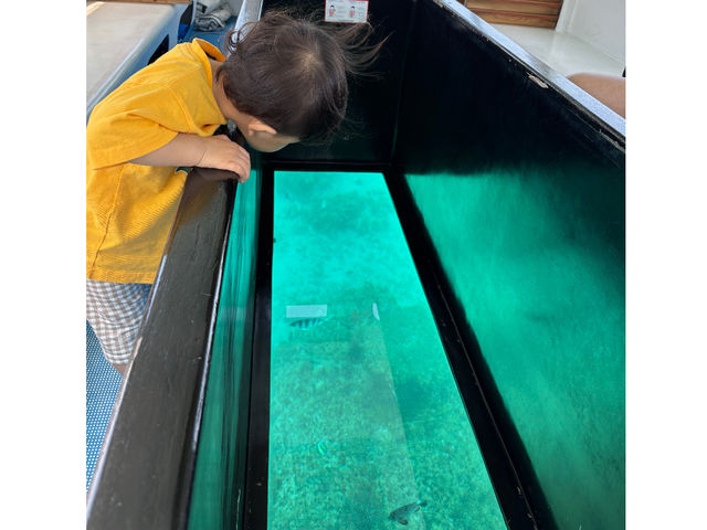 �w�q���̗V�я�x �}�����V���b�v��