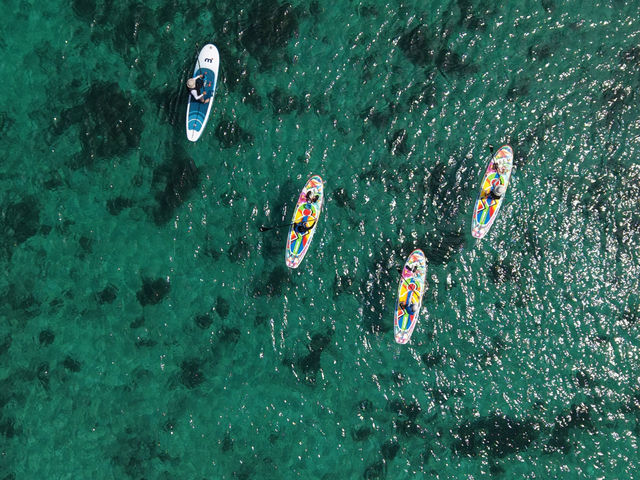 �h���[���B�e
Day Sup
_ISHIGAKI LOVE SUP