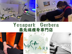 YOSAPARK Gerbera ]X̎ʐ^1