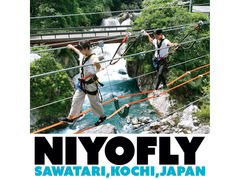 NIYO FLY(jt)̎ʐ^1