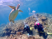 �Ί_���}�����K�C�h ���炳�񂽂̎ʐ^3