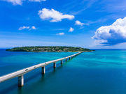  [䂵w|[gwRv^[VEN[WO̎ʐ^2