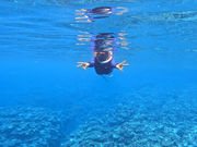 obrigado miyakojima̎ʐ^4