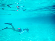 �p�i�����ό��̎ʐ^3