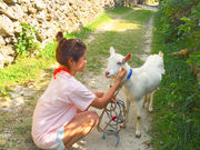 �p�i�����ό��̎ʐ^4