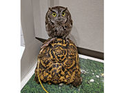 MoonLightGarden̎ʐ^2